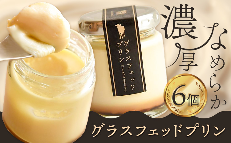 きくち村のグラスフェッドプリン 80g×6個 合計480g 箱付き自然派素材 グラスフェッド ジャージー牛乳 プリン スイーツ 冷蔵 熊本県産 九州産 国産 送料無料