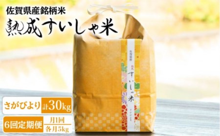 【6回定期便】 令和6年産 熟成すいしゃ米 佐賀県産さがびより 5kg 【一粒】[NAO040] 米 お米 白米 精米 熟成米 ブランド米 すいしゃ米 