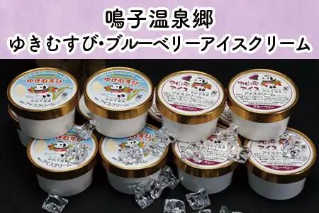 アイスクリーム12個 アイス (鳴子産 ゆきむすび6個・自然栽培ブルーベリー6個) 大崎市 鳴子温泉郷
