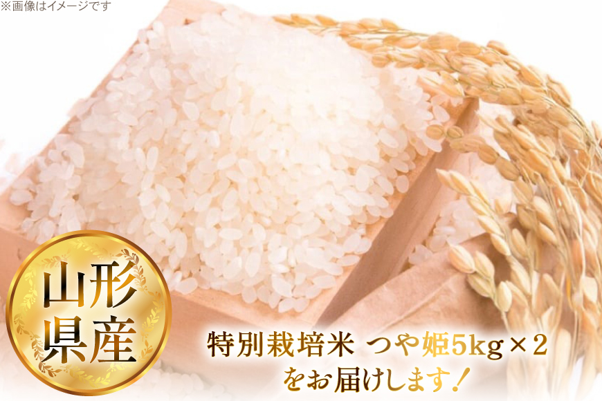 米 令和7年 特別栽培米 つや姫 5kg 2P 計 10kg [JA山形おきたま 山形県 高畠町 tk06ays870002] 5キロ 10キロ お米 ブランド米 ごはん ご飯 白米 精米 おこめ こ