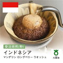 【ふるさと納税】[ 粉 ]#59 受注焙煎！310g マンデリン ロングベリー ウオッシュ インドネシア 珈琲粉 コーヒー粉 自家焙煎 | 珈琲 コーヒー 焙煎 カフェ 大阪府大東市