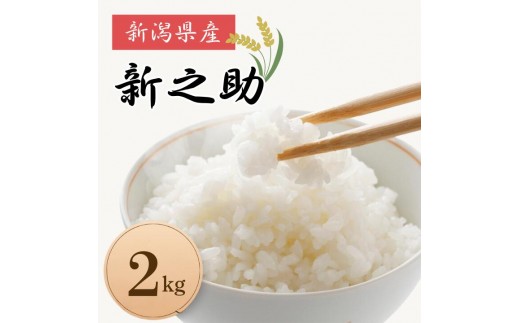 米 コメ お米 おこめ 新之助 精米 白米 2kg 令和8年産 2026年産 送料無料 新潟 見附 見附市 岩渕農場
