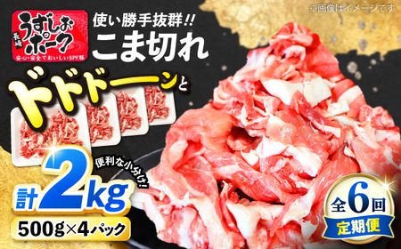 6回定期便 長崎うずしおポーク こま切れ 2kg CAG316 こま切れ 訳あり