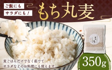 ご飯にもサラダにも！もち丸麦 350g 雑穀米 雑穀 麦 もち麦 麦ごはん 麦ご飯 サラダ 食物繊維 常温 お取り寄せ 国産 九州産 熊本県 湯前町