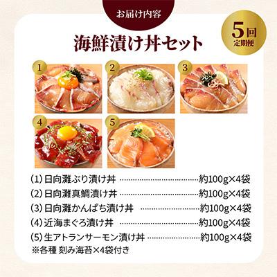 ふるさと納税 延岡市 【毎月定期便】【ふるさと納税】日向灘 海鮮漬け丼 バラエティ全5回 |  | 03