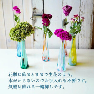 SL0181　【12回定期便】水のいらない花　ゼロフラワー定期便「花いちりん」