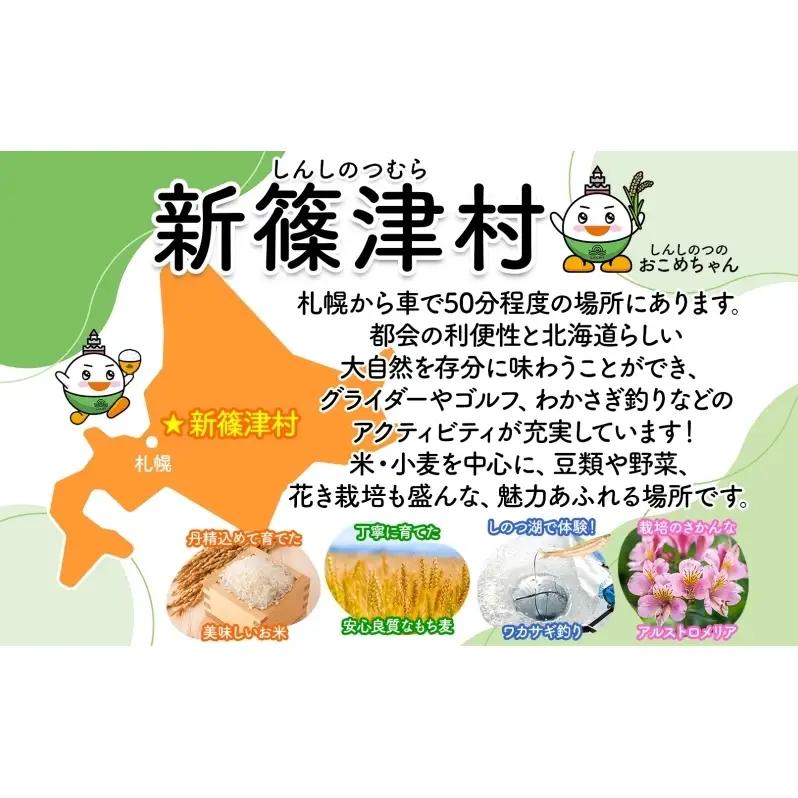 新しのつ にんじんジュース 80ml 10本 新篠津産 人参 ニンジン みずみずしい まるごと ストレート びん 飲料 北海道 新篠津村
