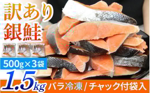 塩銀鮭 切身 1.5kg(500g×3パック) | 冷凍鮭 鮭切り身 塩シャケ 塩鮭 甘口 甘塩 サケ
