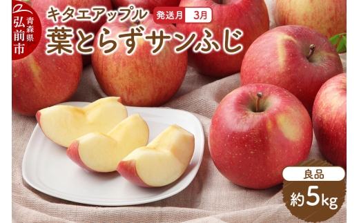 【27年3月クール便発送】りんご 葉取らず サンふじ【良品】約5kg キタエアップル 先行受付 青森県 弘前市 果物 フルーツ 林檎 リンゴ くだもの ギフト 贈り物 [先行予約 クール便 産地直送 アップル おいしい 果実 美味 甘い 赤色]