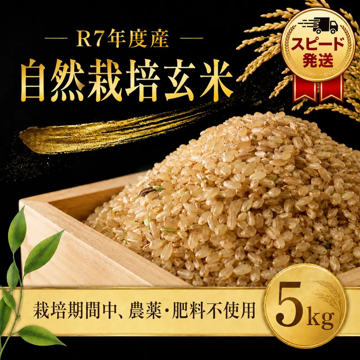 自然栽培米 玄米 5kg 自然米 令和8年産 玄米