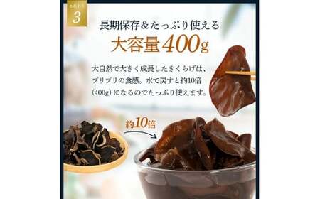 鳥取県産　星のきくらげ【ビタミンDが豊富！】