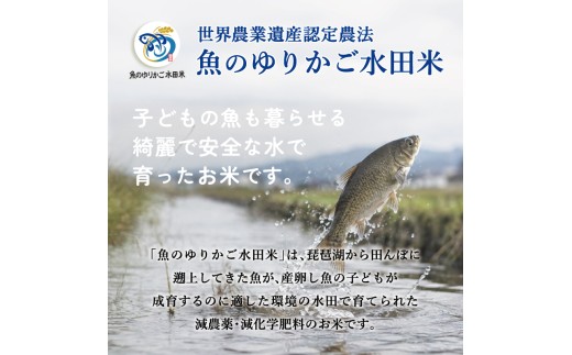 【令和8年産】 新米 きらみずき 白米 10kg 環境こだわり栽培 ひこにゃん米 有機米 魚のゆりかご水田 菜の花米 精米 米 こめ ごはん ご飯 弁当 おにぎり 菜の花 有機 令和8年 R8年 発送