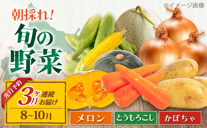 
            【全3回定期便】【8～10月限定】 朝採れ 旬の野菜 詰め合わせ 《喜茂別町》【ニセコビュープラザ直売会協同組合】 メロン トウモロコシ とうもろこし 定期便 北海道 先行予約 朝採れ [AJAH004] 32000 32000円
          