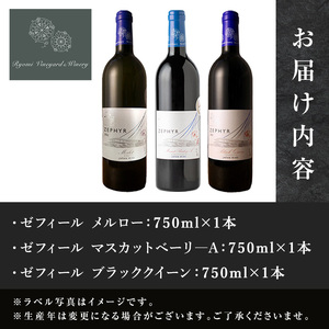 ＜受賞ワイン＞了美ワイン3本セット 750ml×3本 赤ワイン メルロー マスカットベーリーA ブラッククイーン アルコール ワインセット みらいファームやまと【了美ワイナリー】ta576