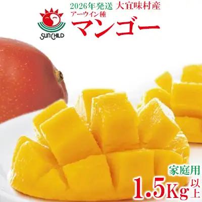 マンゴー【2026年発送】大宜味村産 アーウィン種マンゴー　家庭用1.5kg以上 フルーツ 果物