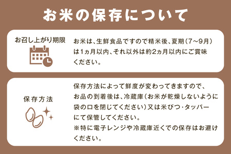 【令和7年産】神楽の郷　石見のこしひかり５Ｋｇ 白米 こしひかり コシヒカリ 米 コメ 5kg 島根 県産 精米 玄米 一等米 お歳暮 【058_1851】