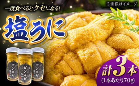 ガンガゼ塩うに 70g×3本 / ウニ 雲丹 五島市 / うた丸 [PGA001]   ウニ 雲丹 ガンガゼうに ガンガゼウニ 海鮮 魚介 長崎 九州 五島 五島列島 セット 