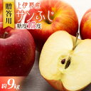 【ふるさと納税】【贈答用】上伊那産サンふじ 約9kg 　【 デザート 食後 糖度15度以上 甘味 強い 濃厚 信州リンゴ サンふじりんご 】　お届け：2024年11月上旬～12月下旬