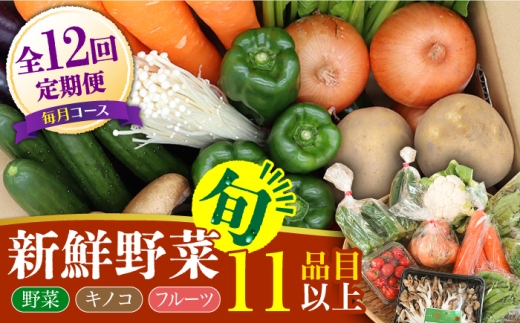 野菜定期便【12回定期便】野菜 キノコ 果物 11品目 詰め合わせ お届け 詰め合わせ 12回  / 詰め合わせ 詰合せ 旬 セット 果物 定期便 野菜 野菜セット 新鮮 野菜詰め合わせ 旬野菜 やさいセット やさい 旬 野菜定期便 春野菜 夏野菜 秋野菜 国産 新鮮野菜 季節の野菜 サラダ スープ 炒め物 お任せ / 南島原市 / 吉岡青果 [SCZ007]