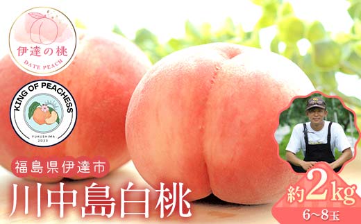 
            キングオブピーチ 桃 「川中島白桃」約2kg（6～8玉）川中島白桃 伊達の桃 桃 もも モモ 果物 くだもの フルーツ 国産 食品 F21C-145
          