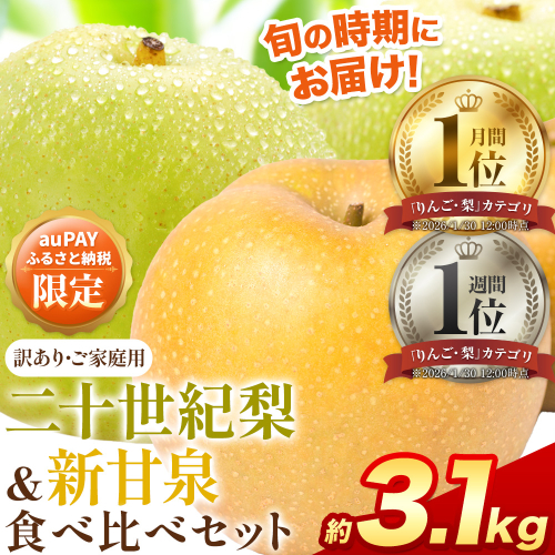 【auPAYふるさと納税限定】梨 なし 二十世紀梨 新甘泉 食べ比べセット 約3.1kg《2026年8月下旬-9月下旬頃出荷》二十世紀梨 梨 ご家庭用 旬 二十世紀 鳥取県 八頭町 なし 果物 フルーツ 特産品 送料無料 デザート【2026年先行予約】