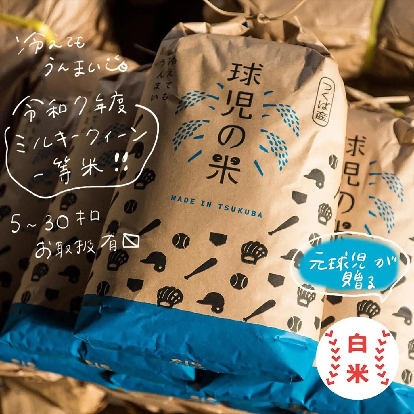 米 20kg 令和7年産 ミルキークイーン 米 精米