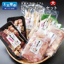 【ふるさと納税】天草大王 プレミアム バーベキューセット大 地鶏 鶏肉 セット 熊本県 上天草産 串セット 大手羽先串 コロコロカット 送料無料