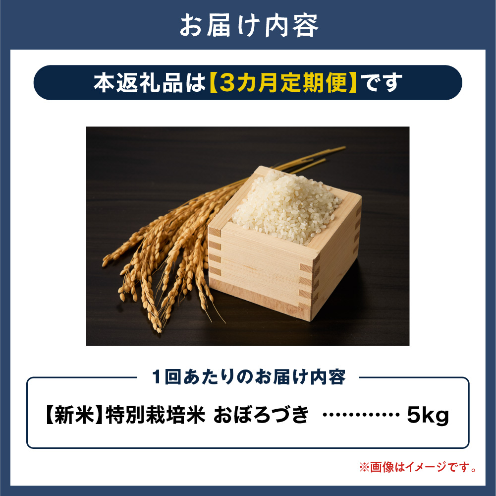 【令和8年度先行受付】大塚農場 特別栽培米おぼろづき　5kg【3ヶ月定期便】 | お米 米 白米 定期便 北海道 当別町