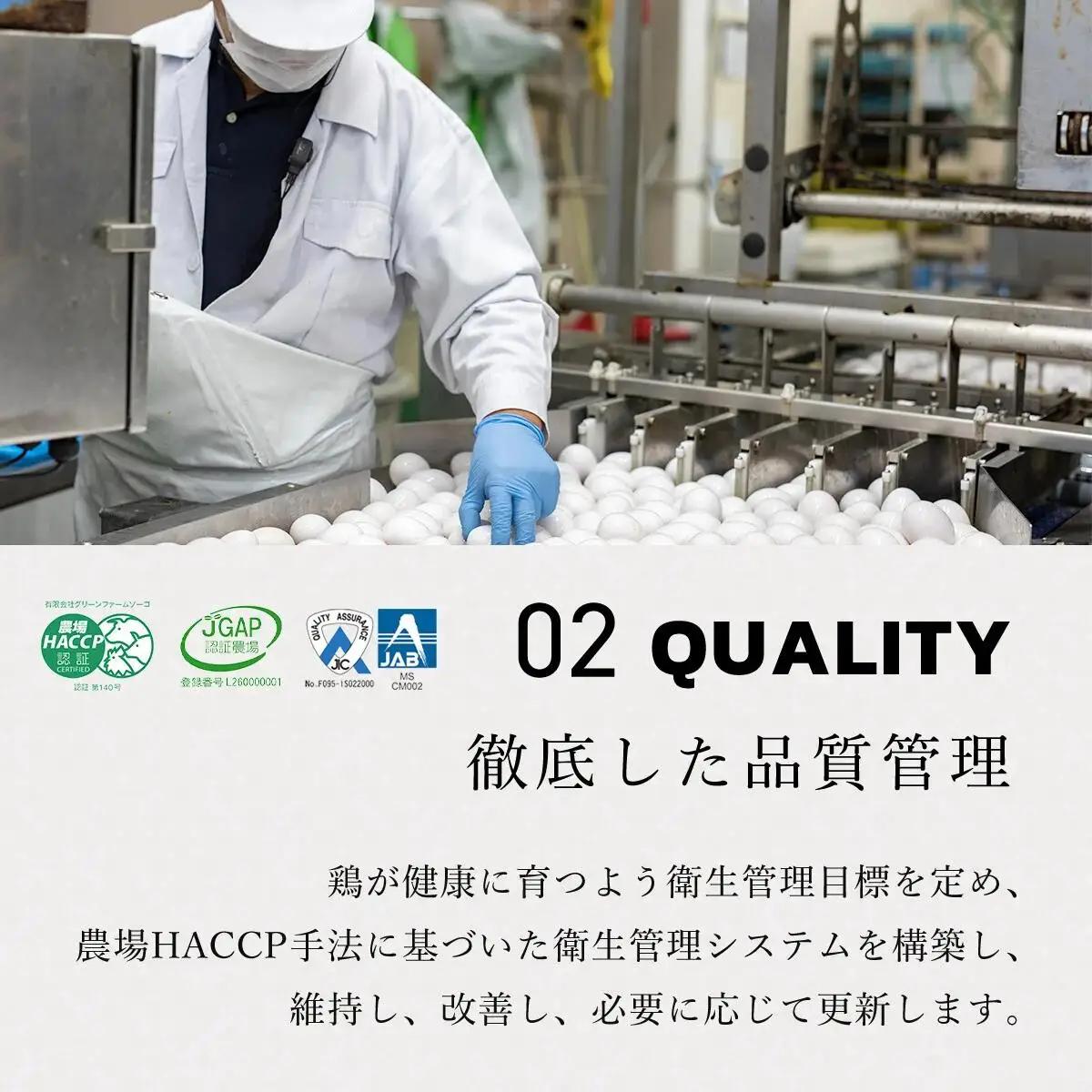 たまご 卵 卵どすえ 計30個 炭火串焼 灯志