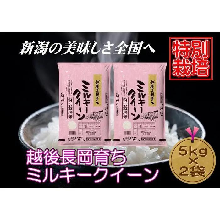 【特別栽培米】新潟県産ミルキークイーン　5kg×2袋（越後長岡育ち）