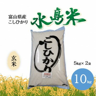 【ふるさと納税】栽培期間中農薬・化学肥料不使用　こしひかり　玄米 5kg×2袋(10kg)【1735073】