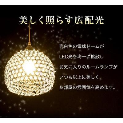 ふるさと納税 海南市 LED電球 E17サイズ 2700K電球色 AKU101166201 |  | 02