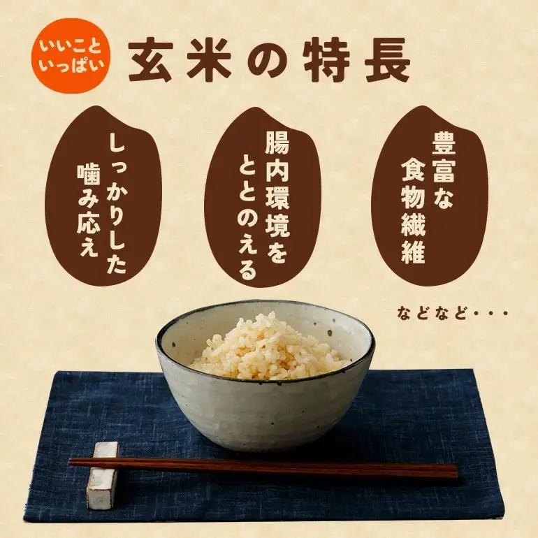 玄米 米 20kg にじのきらめき FH-026