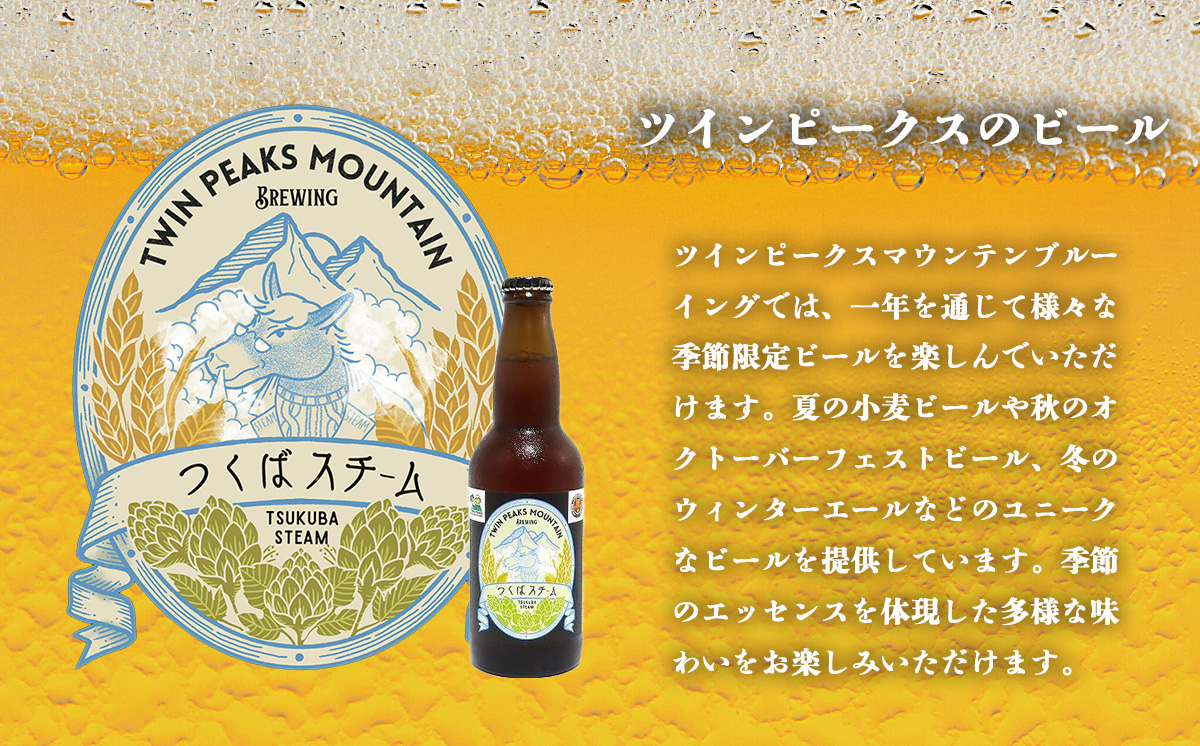 Twin Peaks Mountain Brewingのクラフトビールおまかせ 6本セット【 つくば市 ふるさと納税 クラフトビール ビール お酒 酒 麦酒 地ビール ドイツ ドイツビール 飲み比べ 
