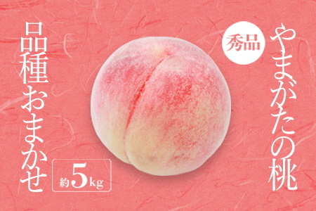 【2026年発送】「秀品」山形県産 桃（品種おまかせ）約5kg_H206(R8)