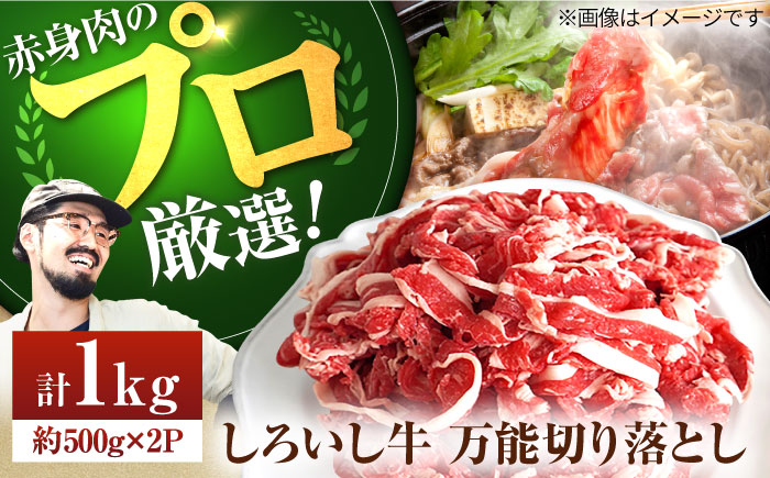【牧場直送】佐賀県産しろいし牛 万能切落し 1kg（500g×2パック） 【有限会社佐賀セントラル牧場】牛肉 [IAH005]