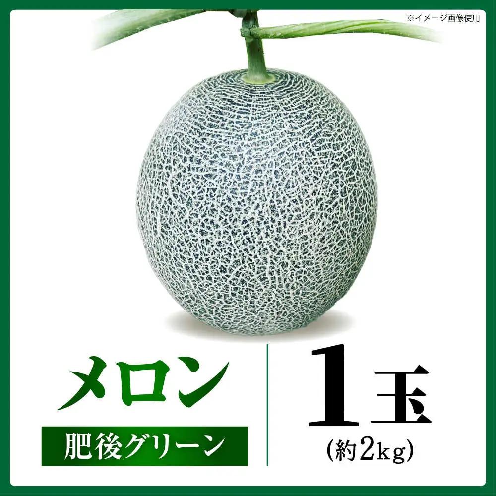 先行予約 肥後グリーンメロン約2kg(1玉)ZEM005