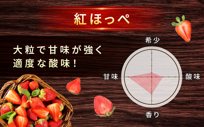 苺 「もういっこ・紅ほっぺ」200ｇ×4パックセット 広島県福山市/株式会社ラフテル もういっこ 紅ほっぺ いちご イチゴ セット　 [BAGD001]