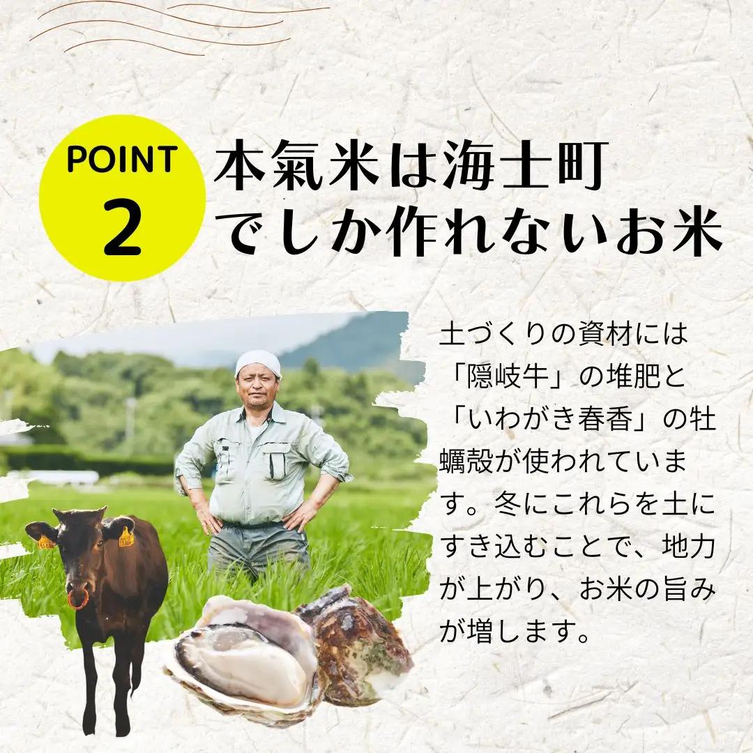 コシヒカリ 10kg ブランド 本氣米 精米 白米