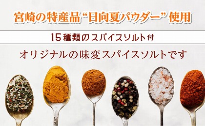 宮崎スープカレーセット(スープカレーほろほろチキン真空冷凍パック、スパイスソルト)