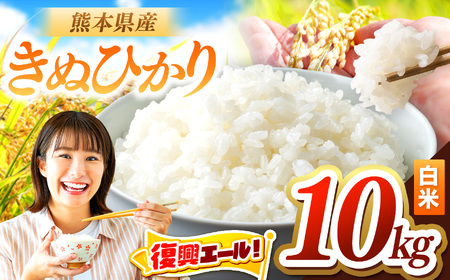 令和7年産 きぬひかり 10kg | お米 米 こめ おこめ 精米 キヌヒカリ 10キロ 国産 国産米 くまもと 熊本 熊本県 玉名市 玉名