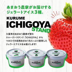【ICHIGOYA】福岡県産 完熟あまおう ジェラート(アイス) 3種×2個(計6個) レアチーズ！ミルク！ヨーグルト！_ICHIGOYA 福岡県産 完熟 あまおう ジェラート アイス 3種 × 2個