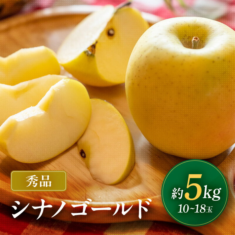 【ふるさと納税】 南信州産 シナノゴールド 約5kg 10～18玉 秀品 JAみなみ信州DMセンター飯田市 ｜ フルーツ 果物 りんご 林檎 シナノゴールド 黄色いりんご 長野県 飯田市 K25