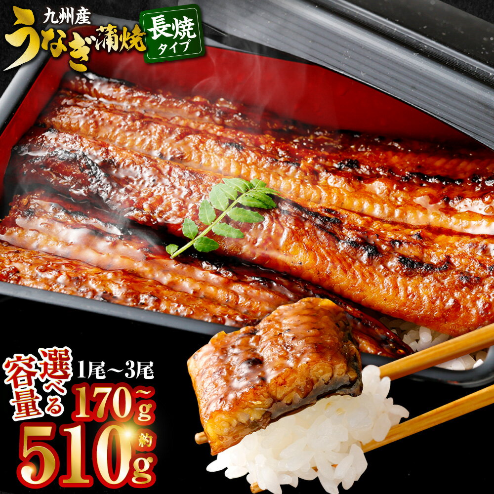 【ふるさと納税】 【選べる容量】九州産うなぎ蒲焼 約170g×1～3尾 計約170～510g うなぎ 蒲焼き うなぎ 蒲焼き 薩摩川内うなぎ 薩摩川内鰻 蒲焼 うなぎ蒲焼 冷凍 国産 鰻 ウナギ ギフト プレゼント お中元 お歳暮 薩摩川内市 川内市 川内 ふるさと 納税