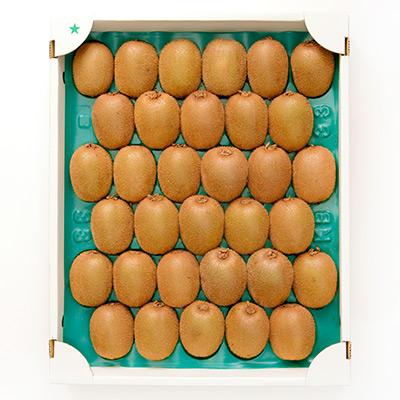 ふるさと納税 静岡市 キウイフルーツ　ヘイワード |  | 02