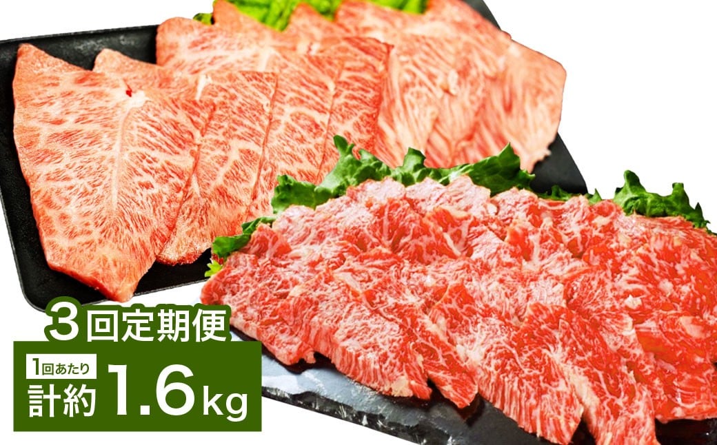 【3カ月定期便】 【上カルビ VS ミスジ 食べ比べ！】 おおいた和牛 上カルビ焼肉 ・ ミスジ焼肉 約1.6kg×3回 計約4.8kg