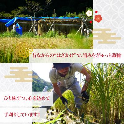 ふるさと納税 佐川町 <薫る神様のお米 約3合×1袋> 奉納米 縁起米 香り米 ふさなり(毎年10月中旬〜12月末発送) |  | 03