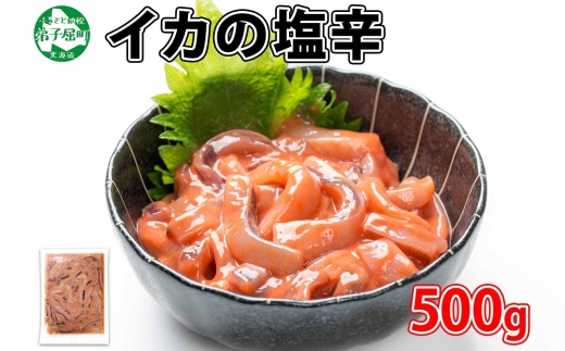 3163. イカの塩辛 500g イカ スルメイカ いか 珍味 海鮮 魚介 送料無料 北海道 弟子屈町