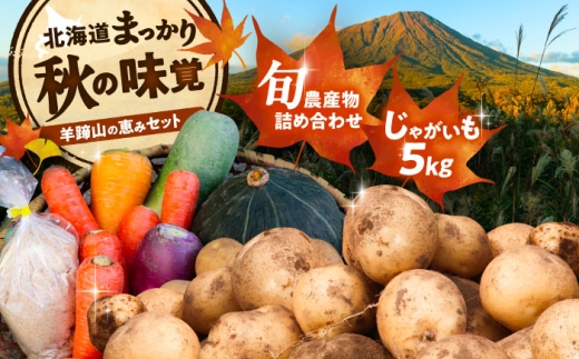 野菜セット 秋の味覚お楽しみセット（じゃがいも5kg・旬の農産物詰め合わせ）※11月下旬以降発送 | 野菜セット 野菜 詰合せ じゃがいも 季節の野菜 北海道 詰め合わせ 野菜詰め合わせ 野菜 セット つめあわせ 旬 お取り寄せ 新鮮 食材 | 道の駅 真狩フラワーセンター [BPAM001]
