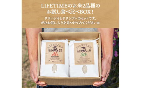 ササシグレ 白米 9kg ササニシキ 白米 9kg 食べ比べ ささしぐれ ささにしき お米 コメ こめ おこめ ご飯 ごはん 希少 優しい 甘み